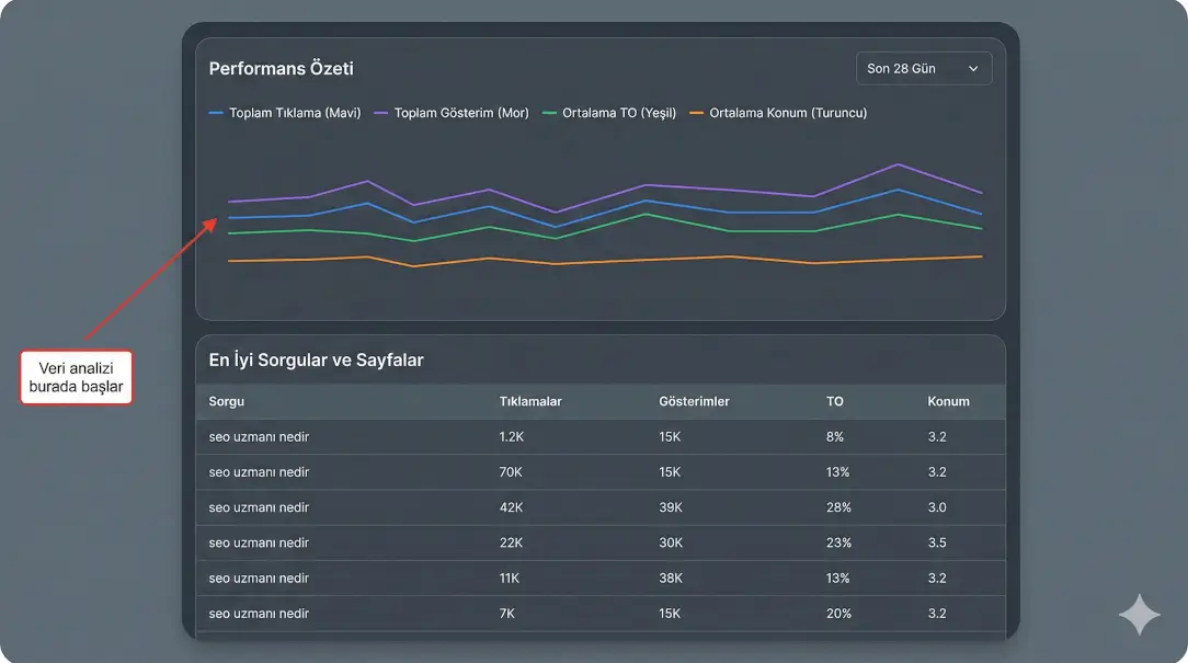 google search console veri analizi