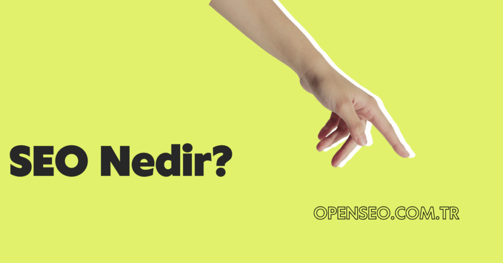 seo nedir SeoMentum