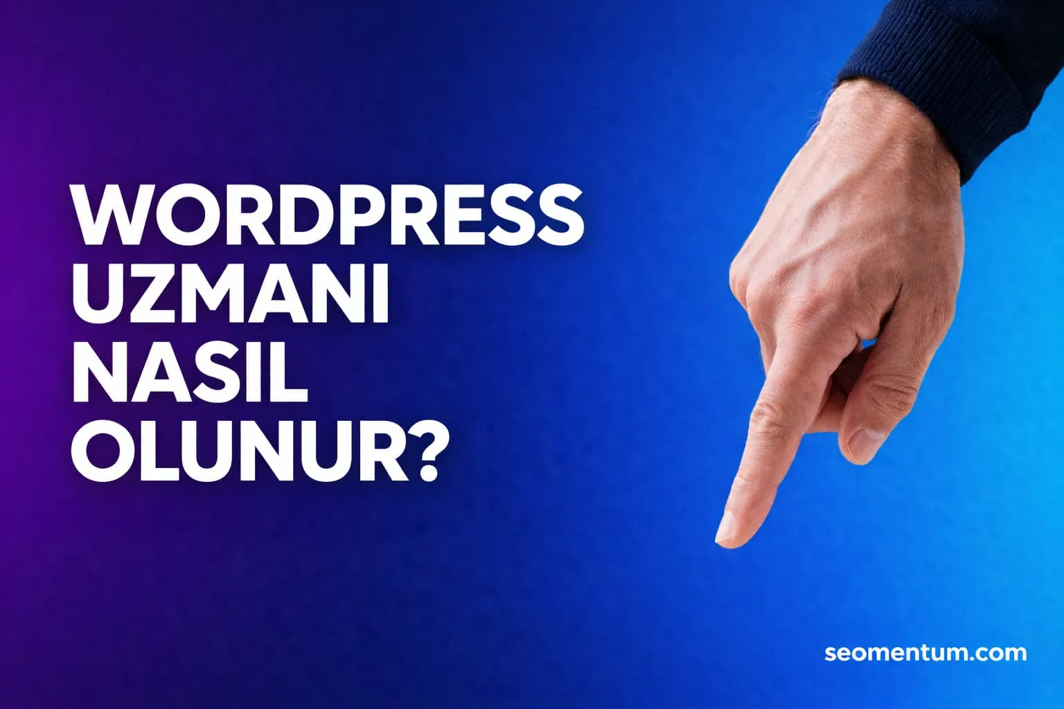 WordPress Uzmanı Nasıl Olunur