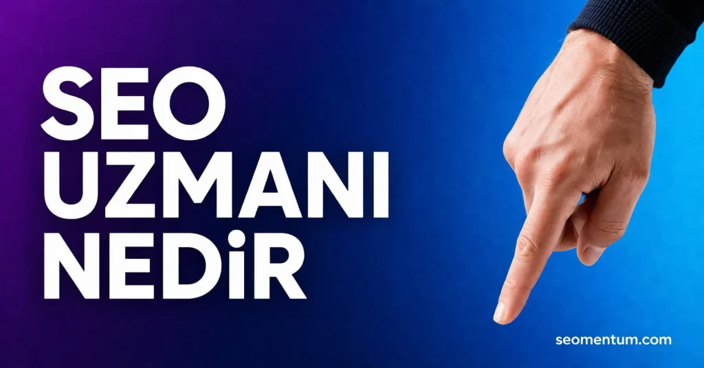 Seo Uzmanı Nedir
